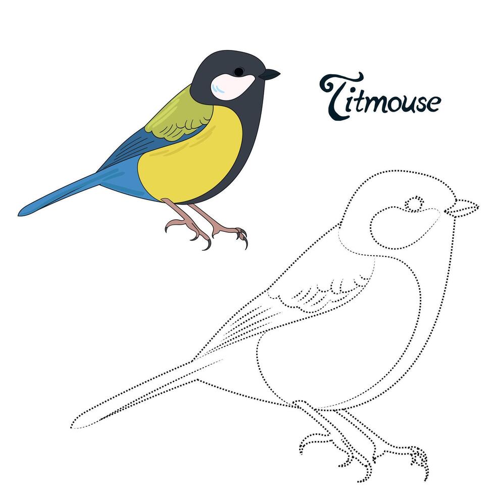 Educational game connect the dots to draw titmouse bird cartoon doodle hand drawn illustration vector