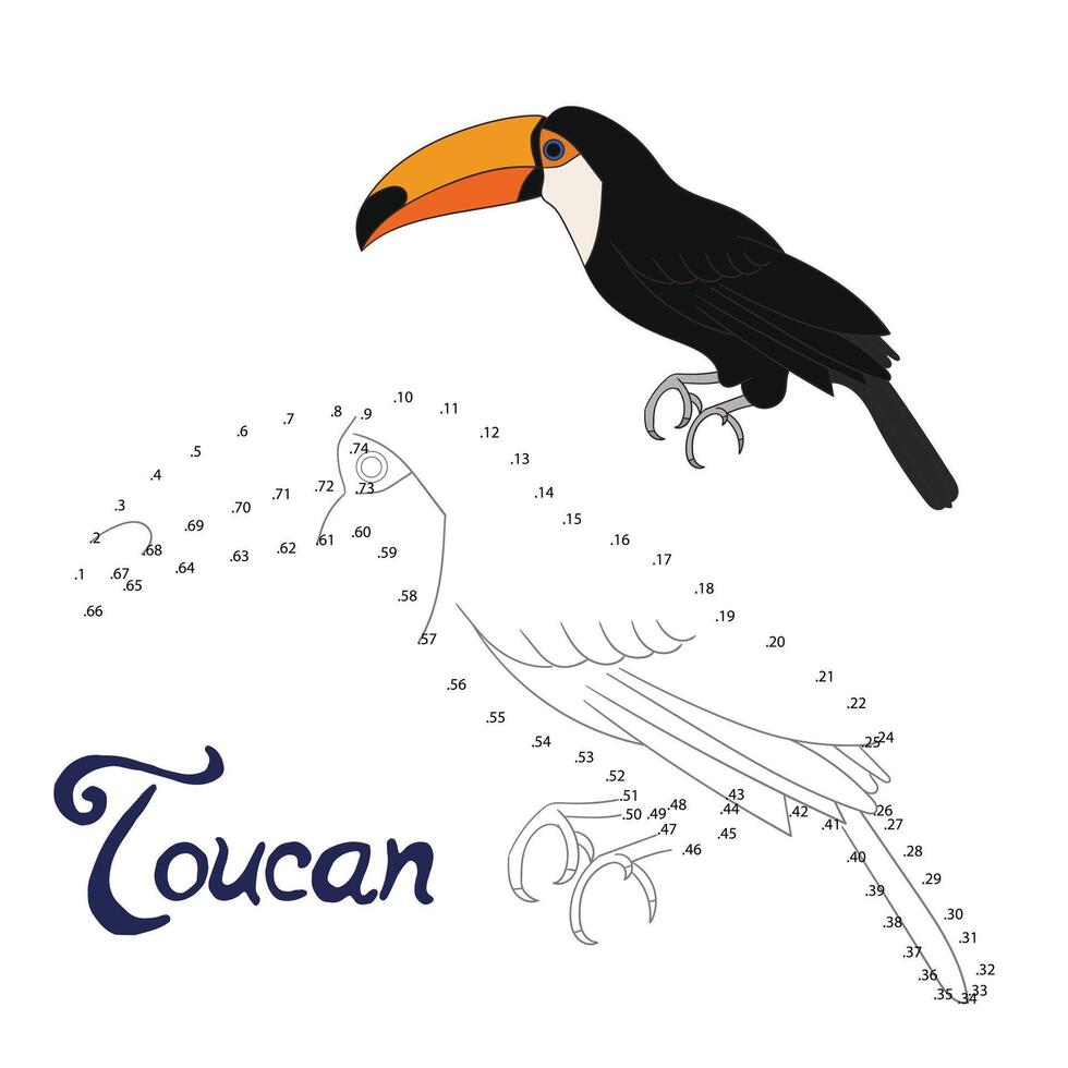 Educational game connect the dots to draw toucan bird cartoon doodle hand drawn illustration vector