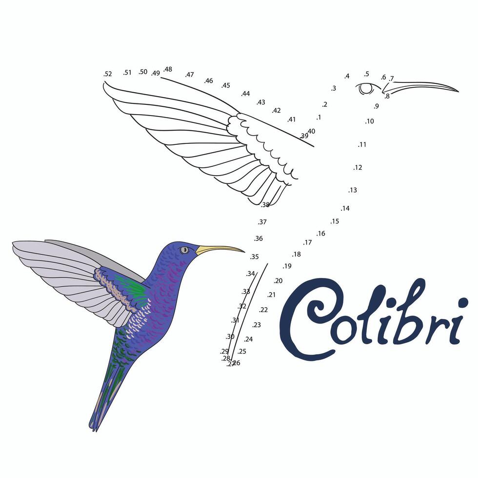 Educational game connect the dots to draw colibri bird cartoon doodle hand drawn illustration vector