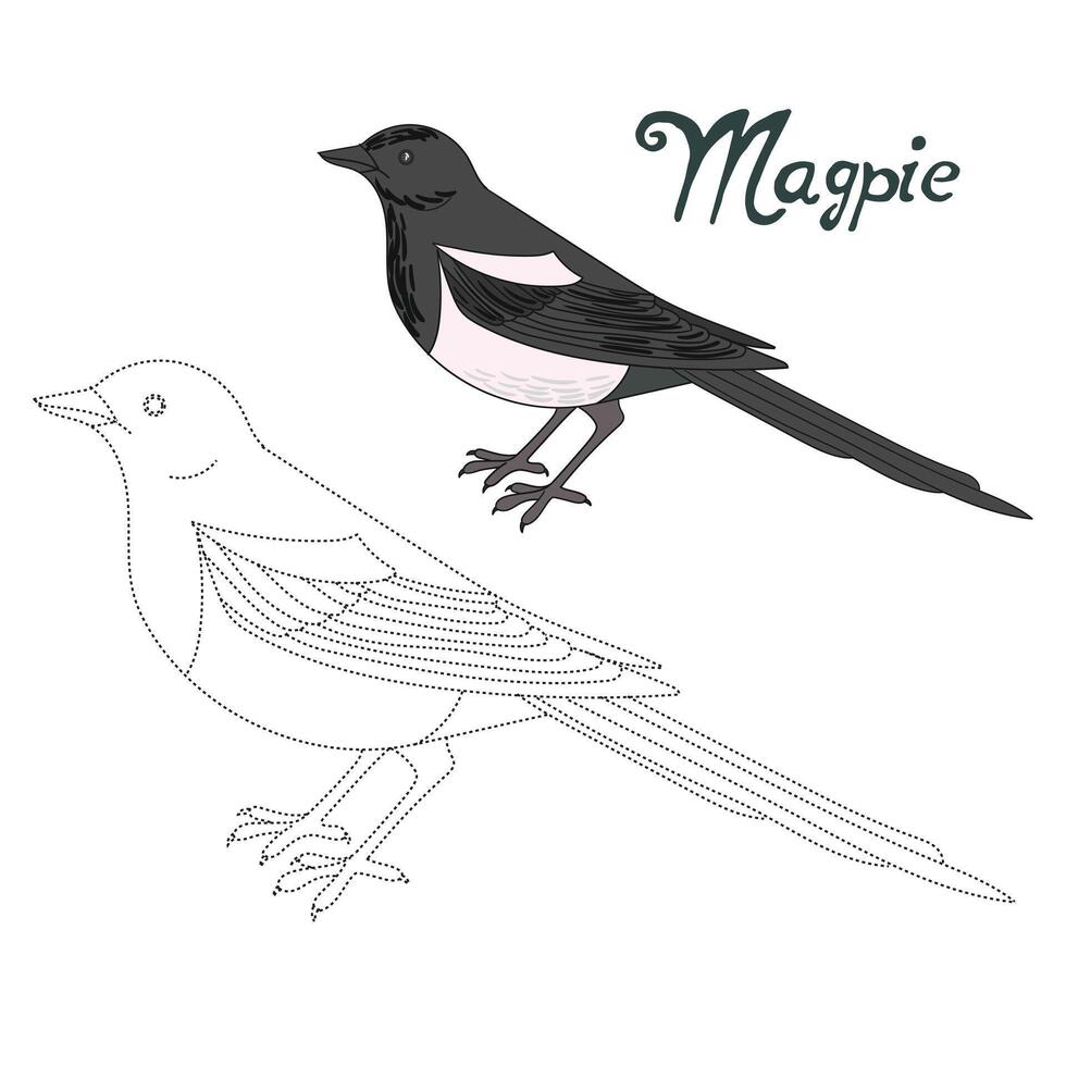Educational game connect the dots to draw magpie bird cartoon doodle hand drawn illustration vector