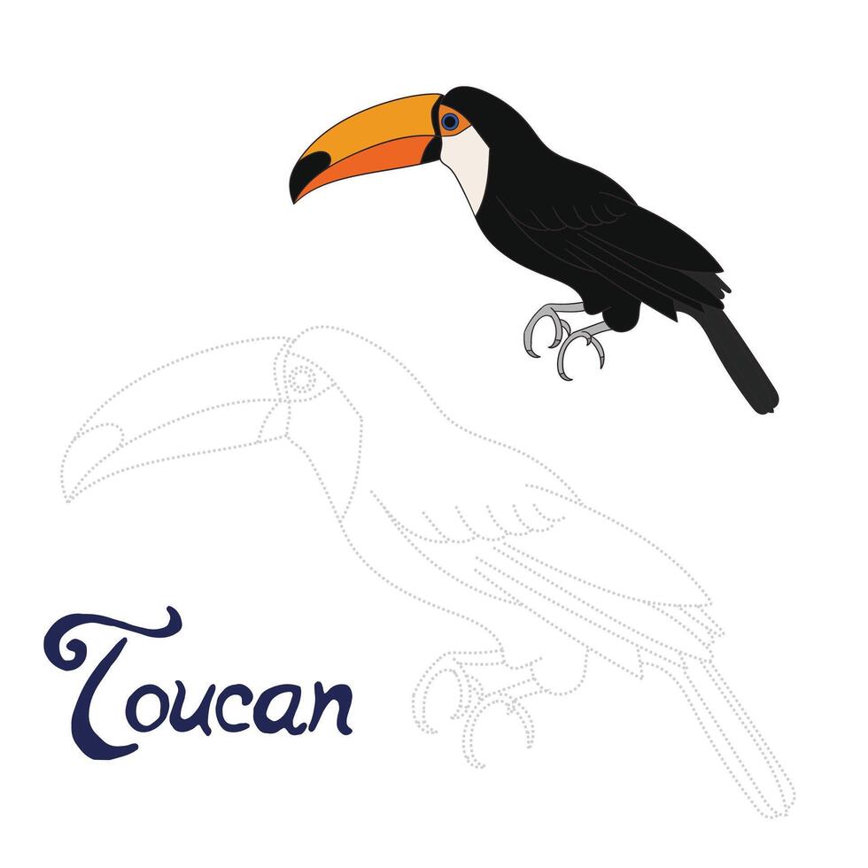 Educational game connect the dots to draw toucan bird cartoon doodle hand drawn illustration vector