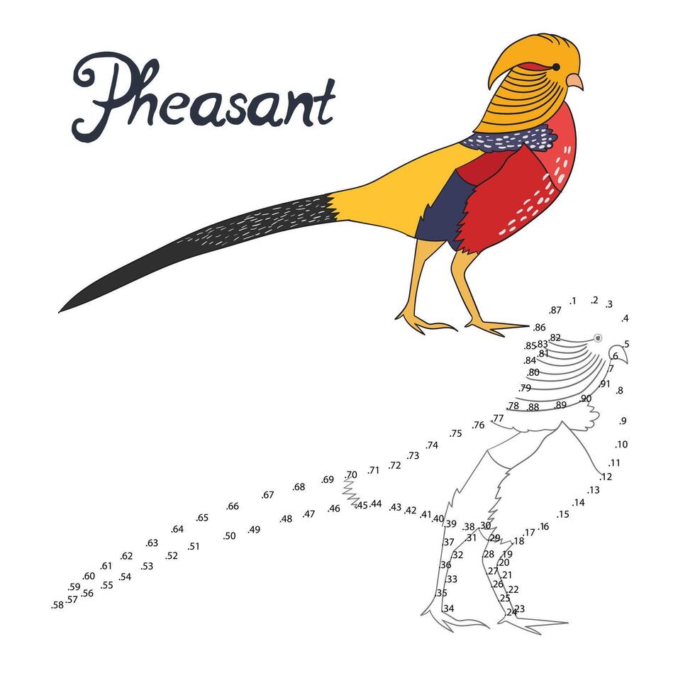 Educational game connect the dots to draw pheasant bird cartoon doodle hand drawn illustration vector
