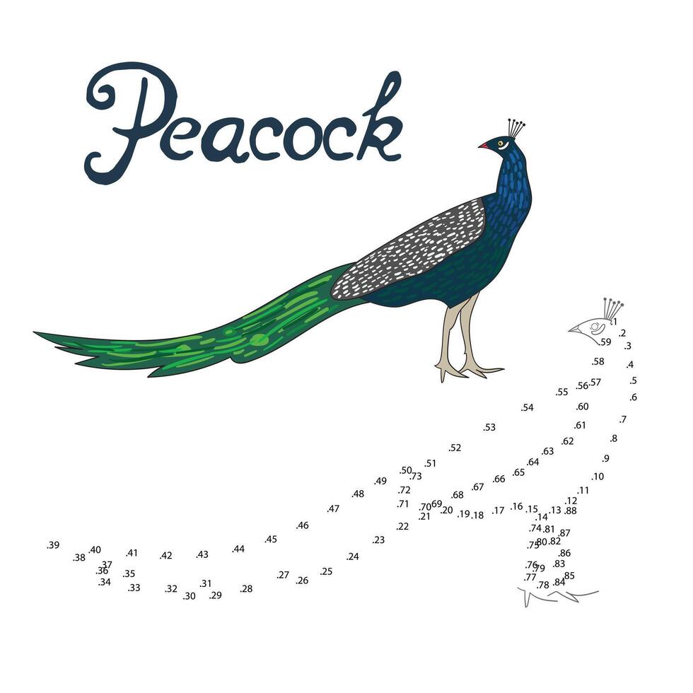 Educational game connect the dots to draw peacock bird cartoon doodle hand drawn illustration vector