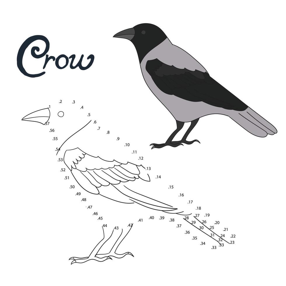 Educational game connect the dots to draw crow bird cartoon doodle hand drawn illustration vector