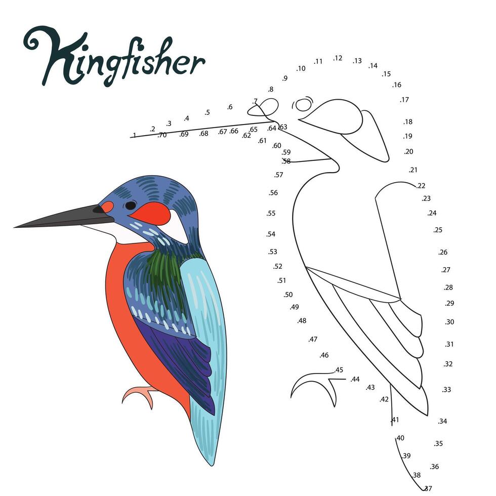Educational game connect the dots to draw kingfisher bird cartoon doodle hand drawn illustration vector