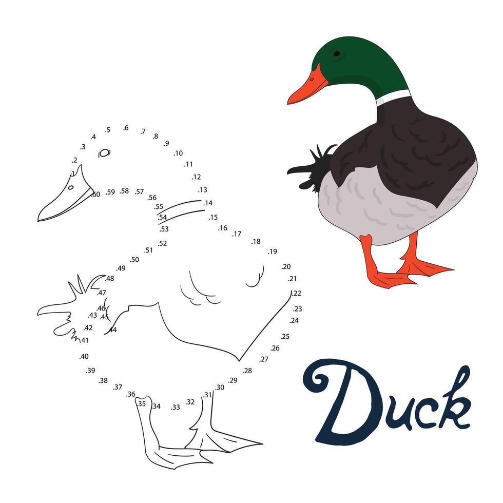 Educational game connect the dots to draw duck bird cartoon doodle hand drawn illustration vector