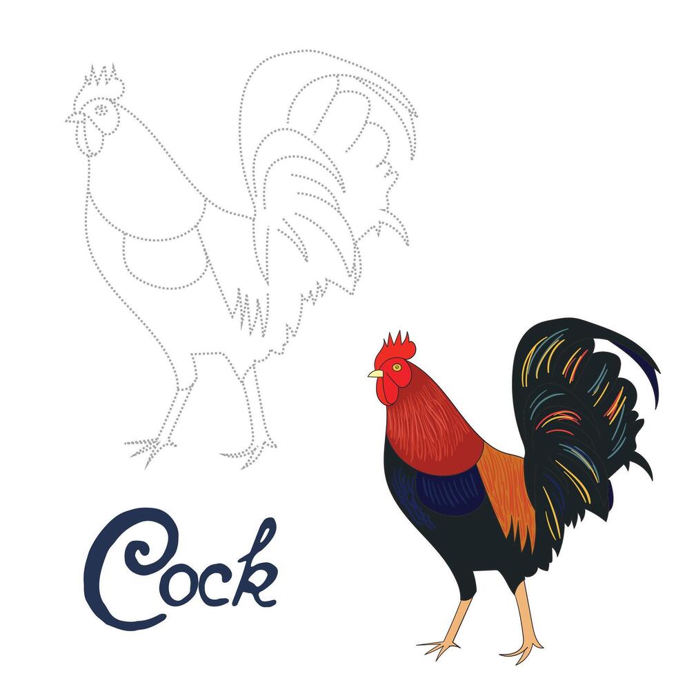 Educational game connect the dots to draw rooster bird cartoon doodle hand drawn illustration vector