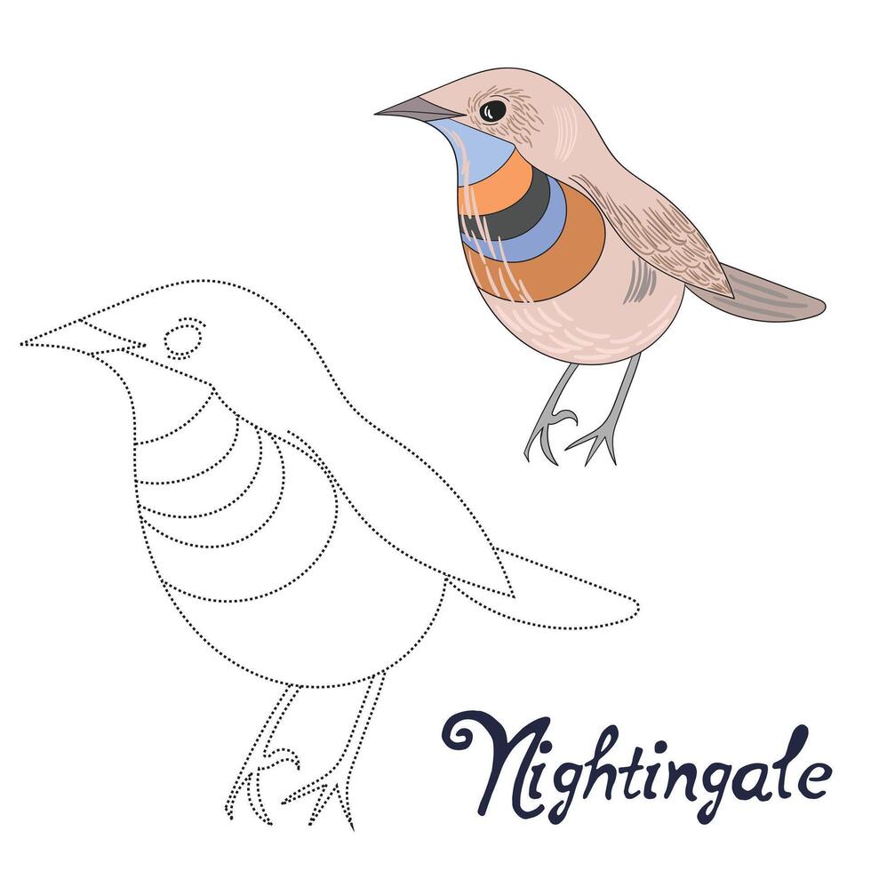 Educational game connect the dots to draw nightingale bird cartoon doodle hand drawn illustration vector