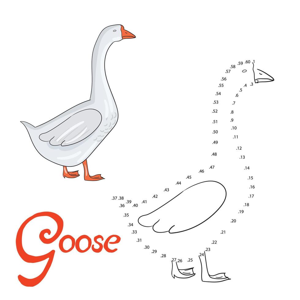 Educational game connect the dots to draw goose bird cartoon doodle hand drawn illustration vector