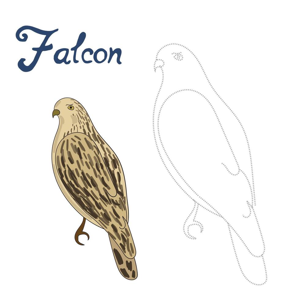 Educational game connect the dots to draw falcon bird cartoon doodle hand drawn illustration vector