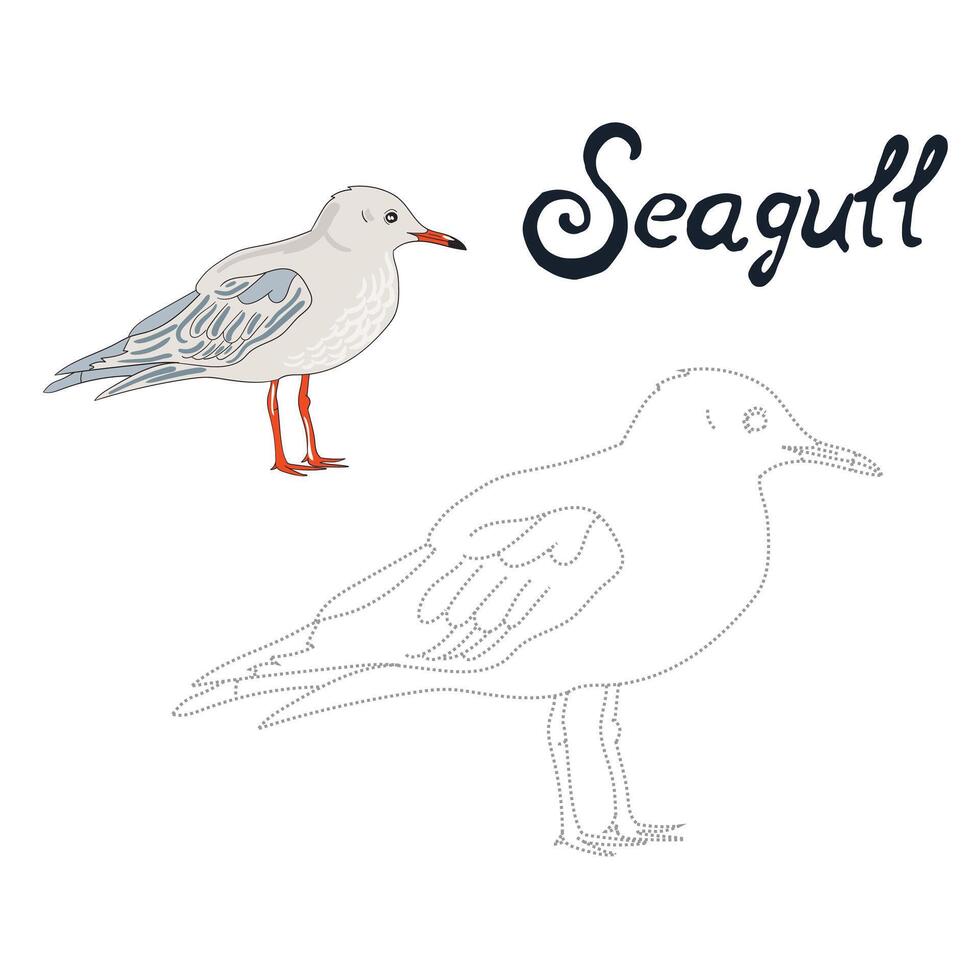 Educational game connect the dots to draw seagull bird cartoon doodle hand drawn illustration vector