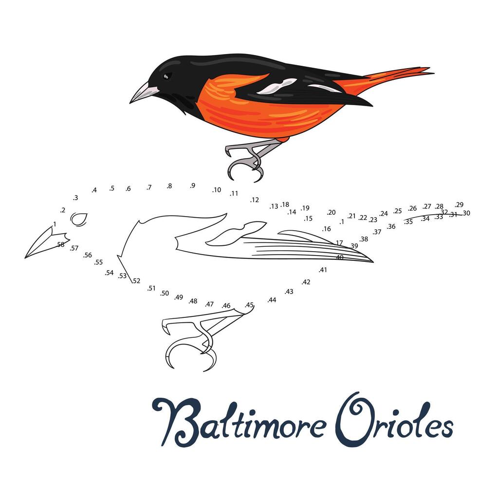 Educational game connect the dots to draw baltimore orioles bird cartoon doodle hand drawn illustration vector