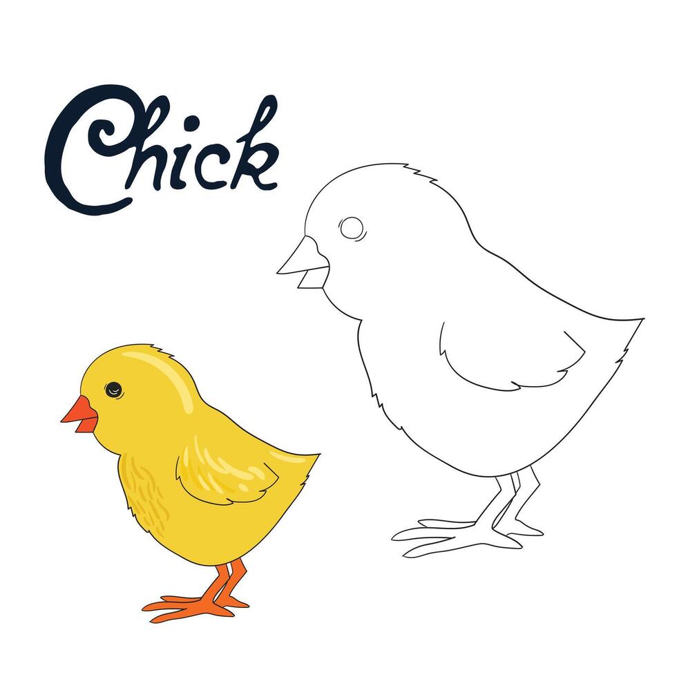 Educational game coloring book chick bird cartoon doodle hand drawn illustration vector