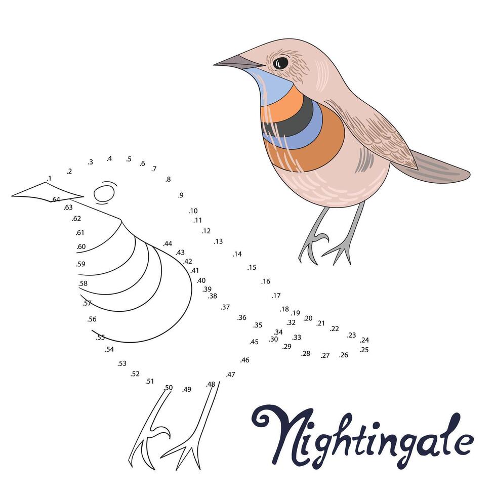 Educational game connect the dots to draw nightingale bird cartoon doodle hand drawn illustration vector