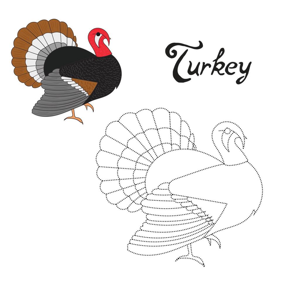 Educational game connect the dots to draw turkey bird cartoon doodle hand drawn illustration vector