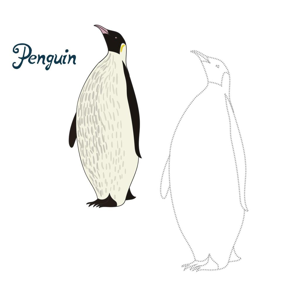 Educational game connect the dots to draw penguin bird cartoon doodle hand drawn illustration vector