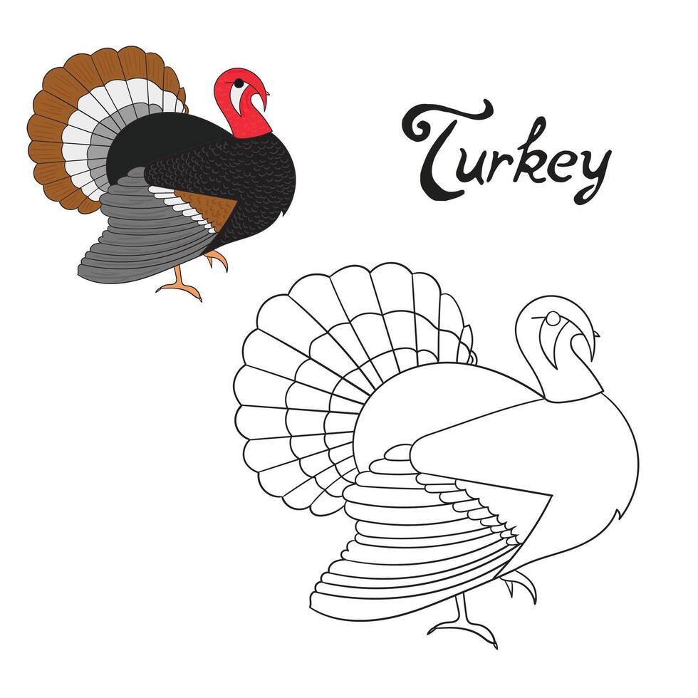 Educational game coloring book turkey bird cartoon doodle hand drawn illustration vector