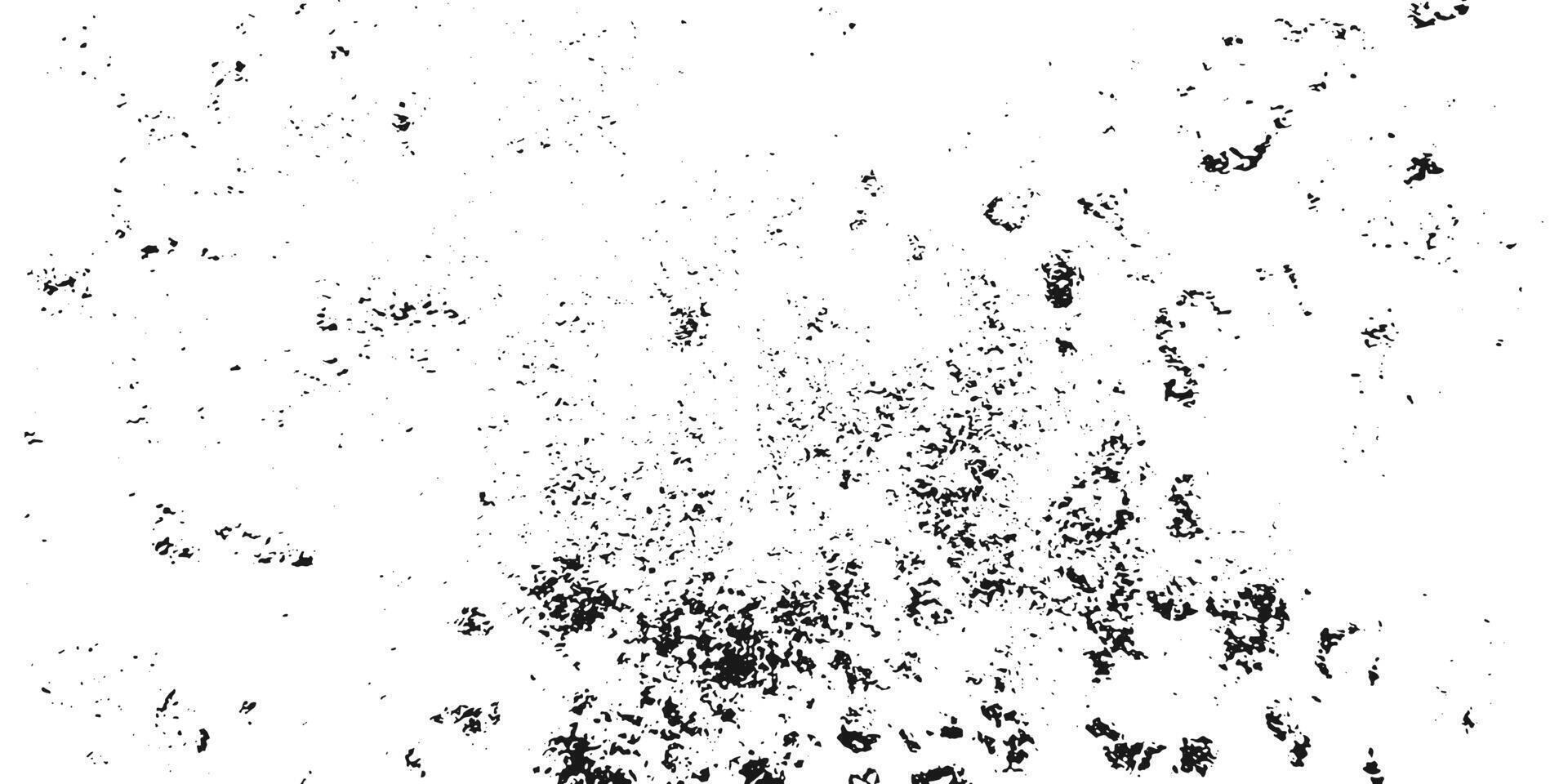 realistic black and white wall grunge texture vector