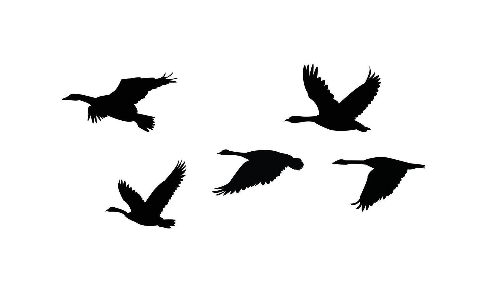 Flying Goose Birds Black Silhouette Design And Illustration. vector