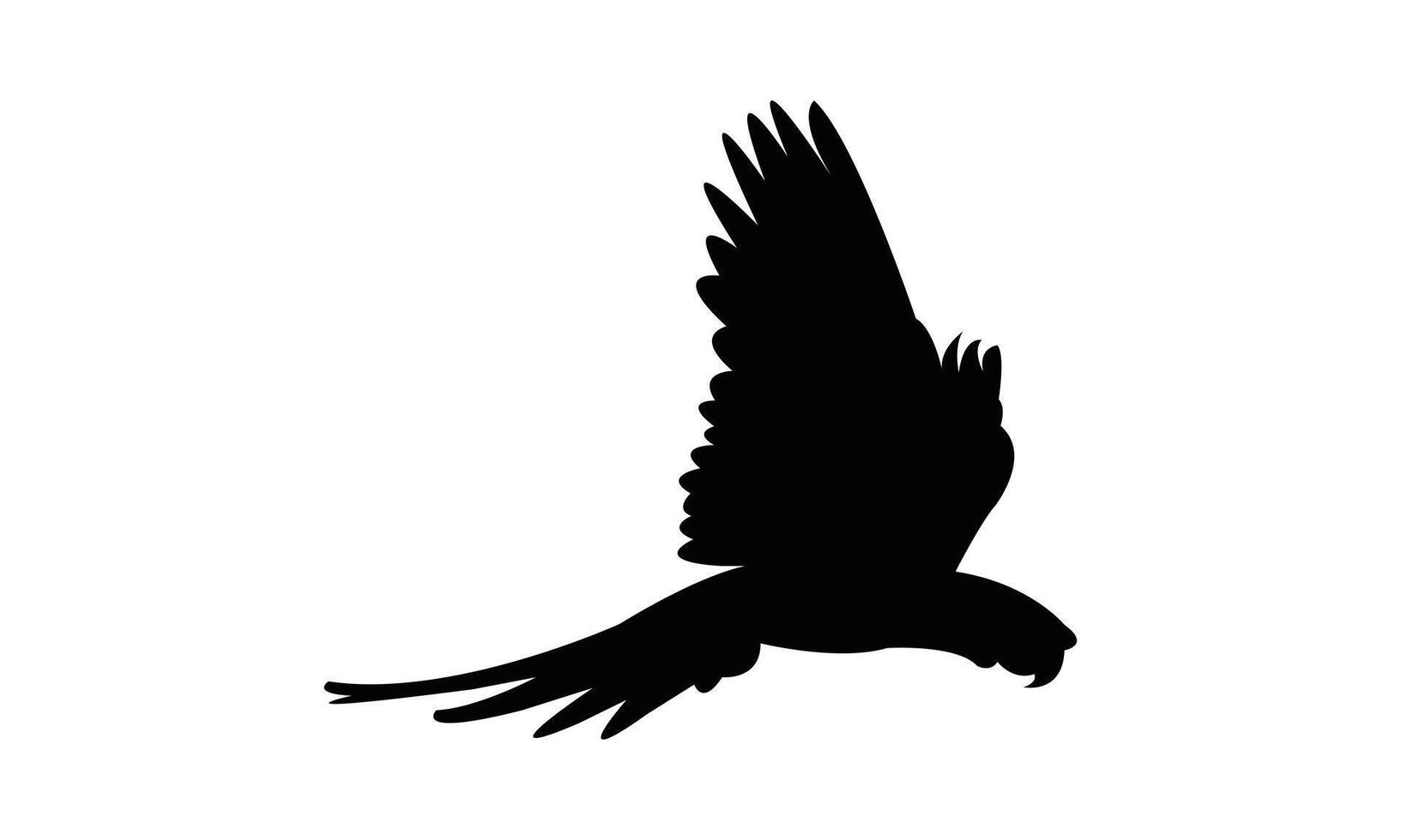 Flying Macaw Bird Silhouette Design And Illustration. vector