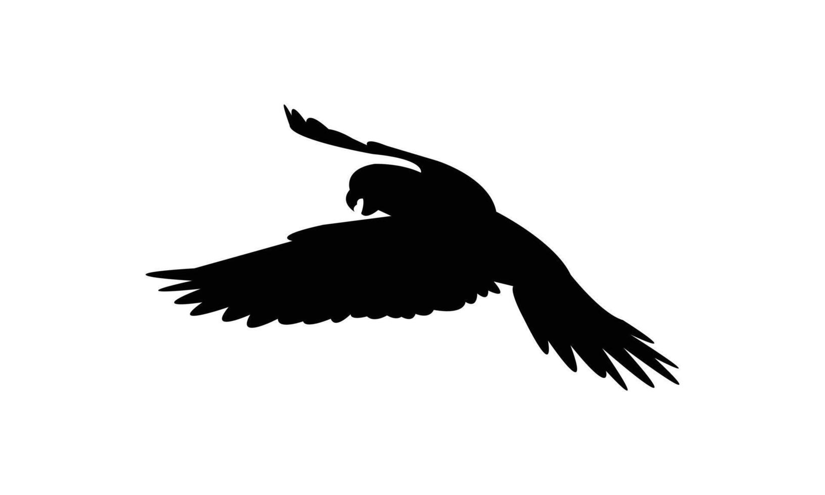 Flying Parakeet Bird Black Silhouette Design vector