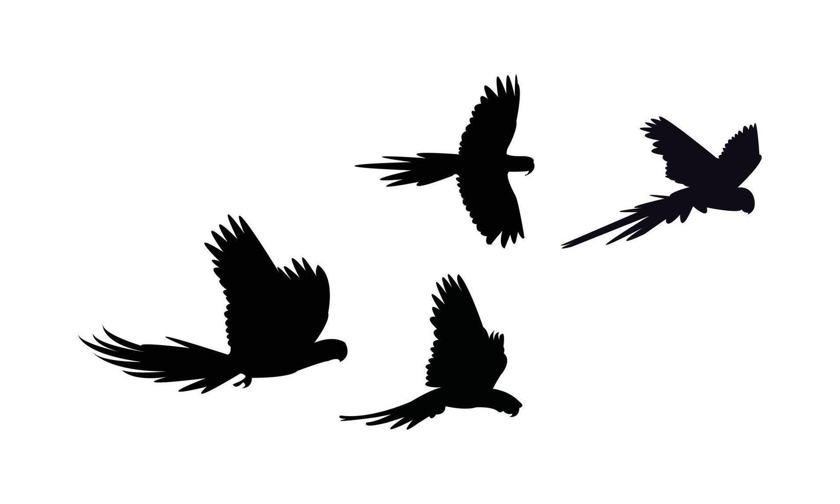 Flying Macaw Birds Black Silhouette Design vector