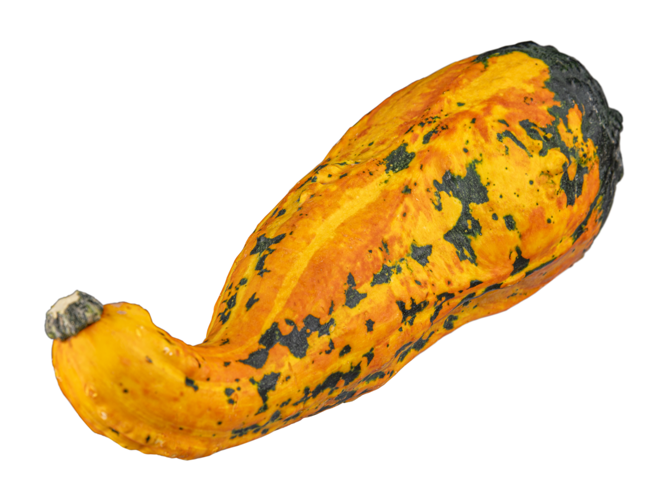 Decorative gourd for autumn decoration png