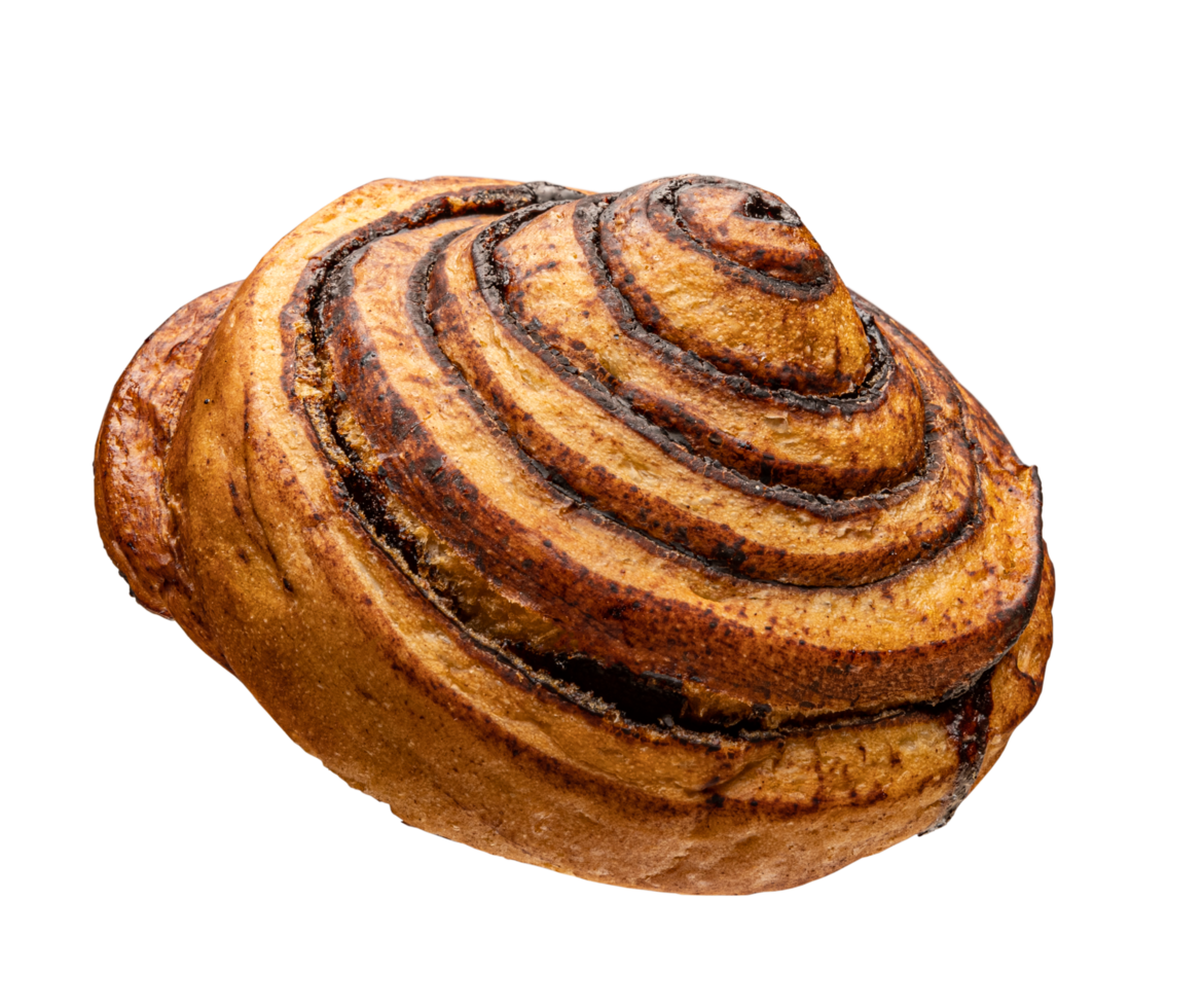 Freshly baked cinnamon roll png