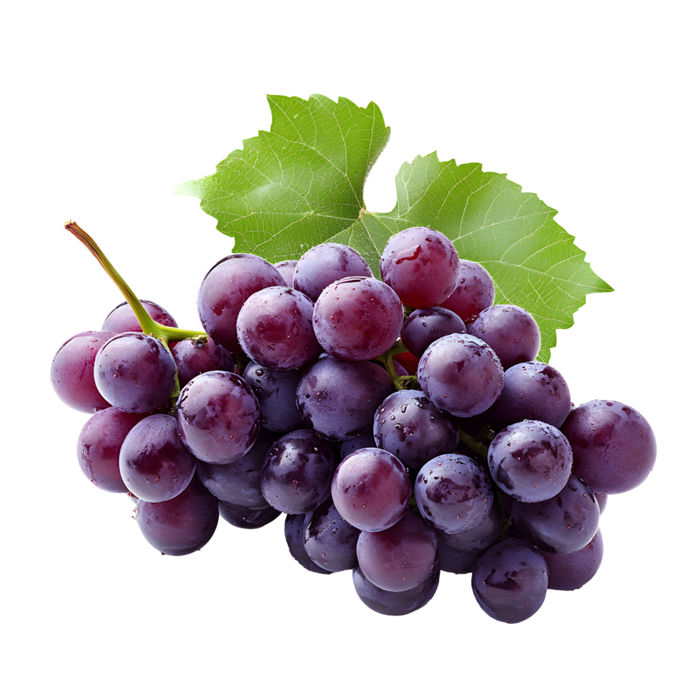 Purple Grapes Isolated png