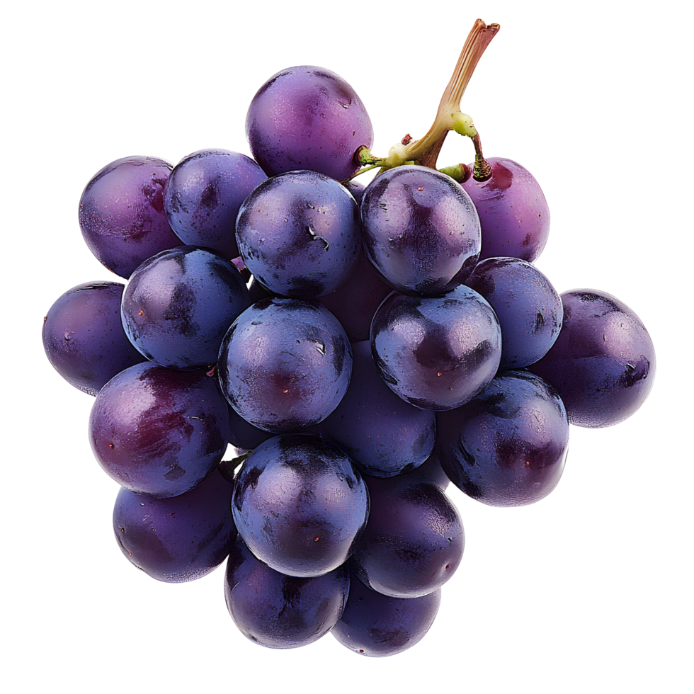Purple Grapes Bunch png