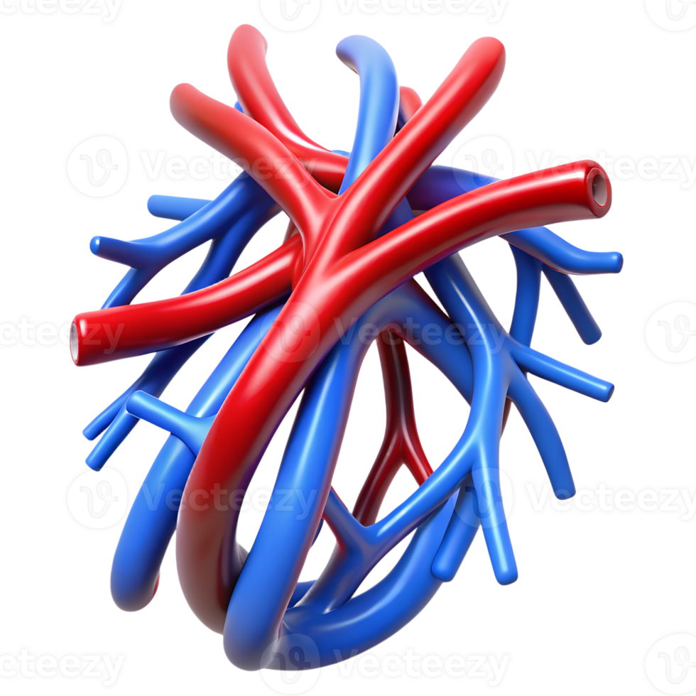 3D Blood Tissue png