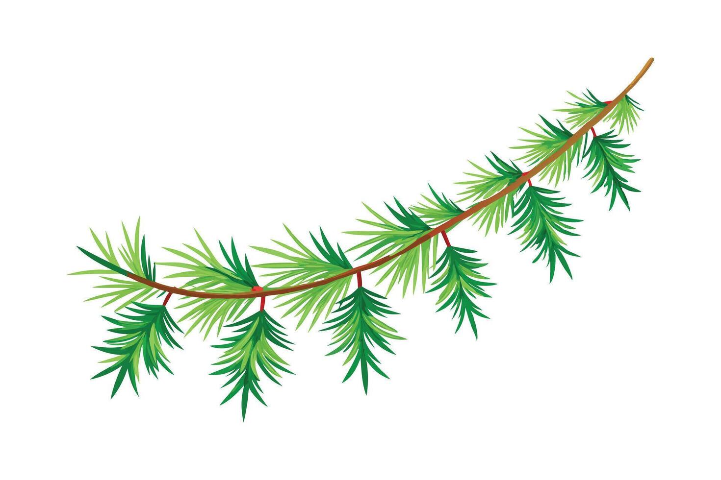 Festive Christmas Tree Garland - Pine and Spruce Branches, Elegant Evergreen Decoration vector