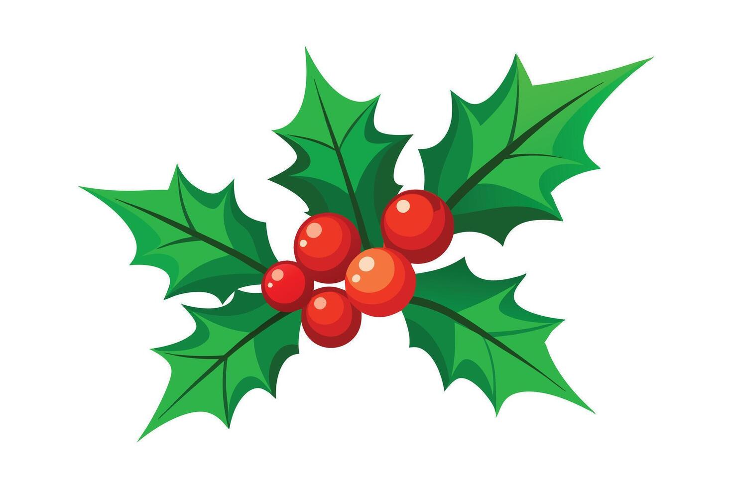 Holly Leaves and Berries - Festive Christmas Illustration with Greenery and Red Berries, Elegant Holiday Decor vector