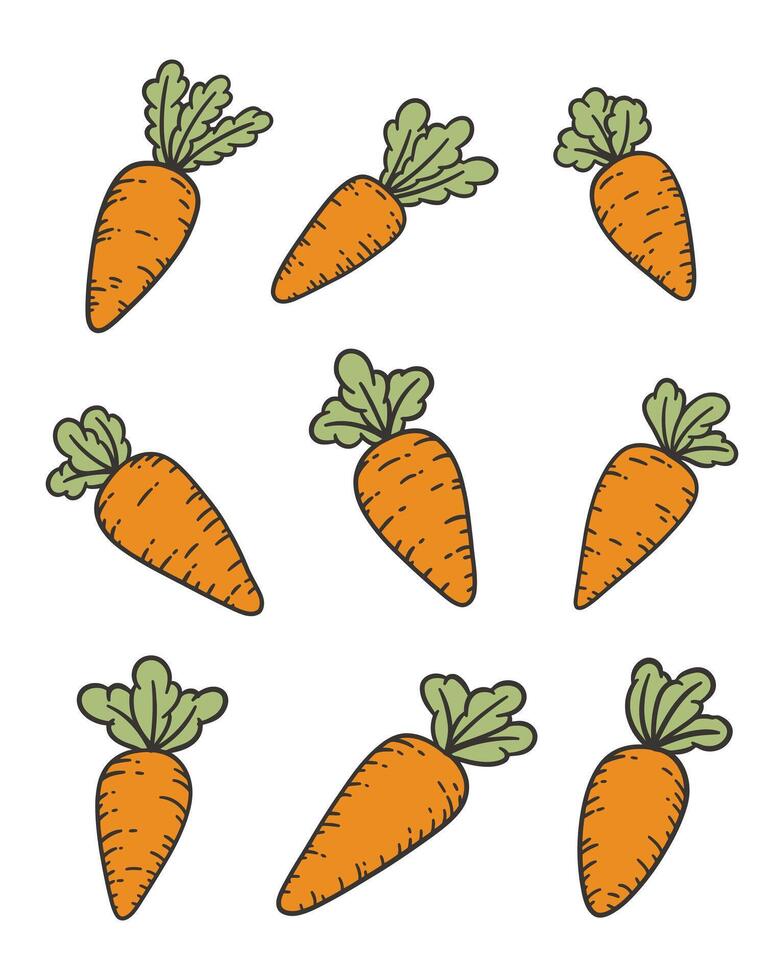Cute Carrot Cartoon Doodle Style Illustration vector