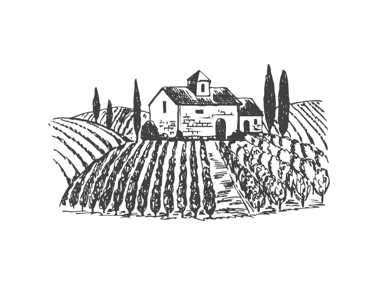 a drawing of a house and a vineyard background vector