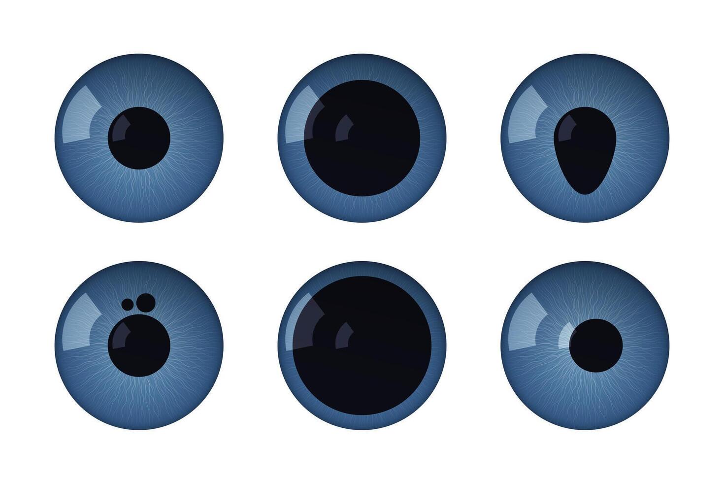 Eye pupils set with disease. Normal, anisocoria, colomba, polycoria, mydriasis corectopia vector