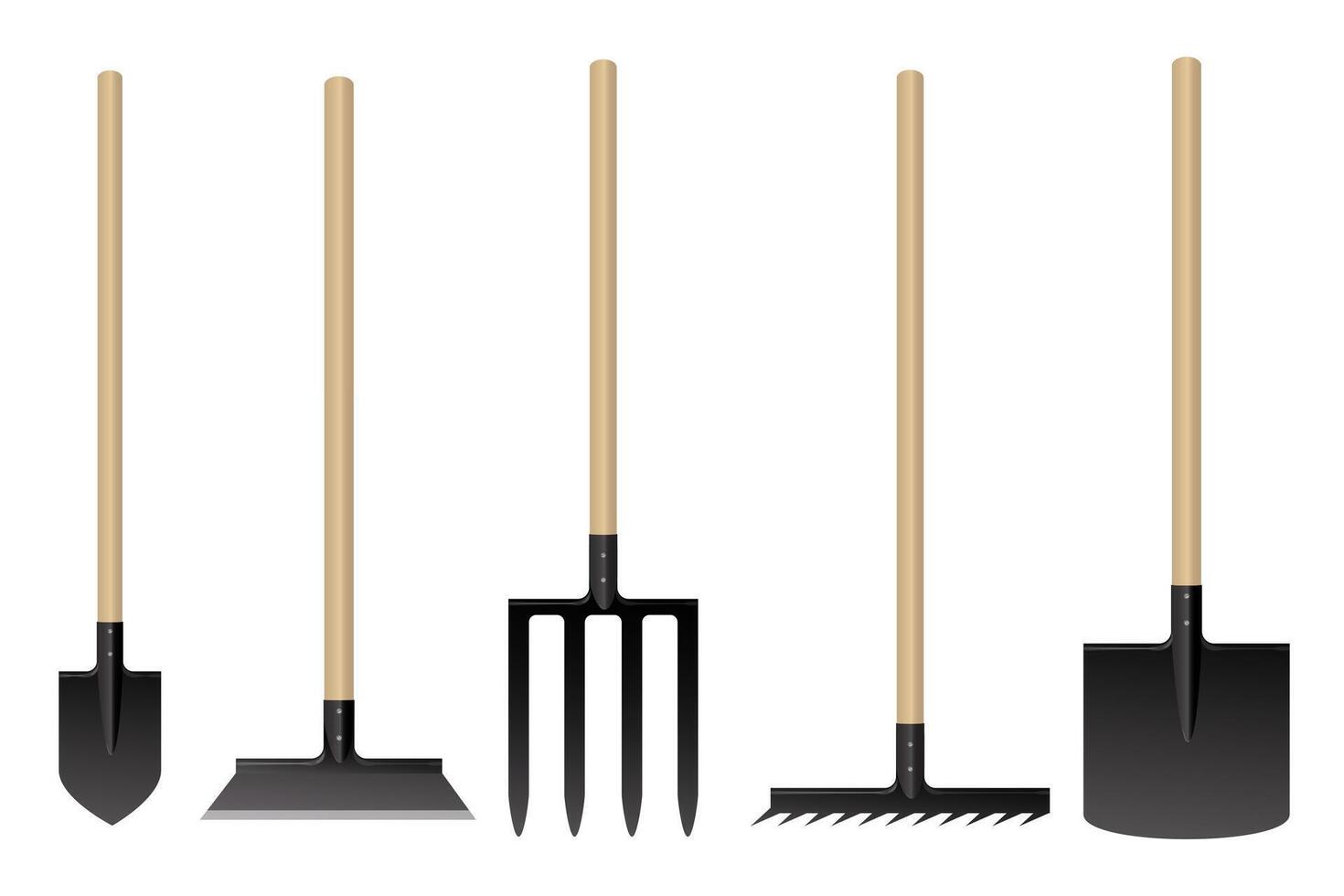 Garden tools. Shovel pitchfork rake vector