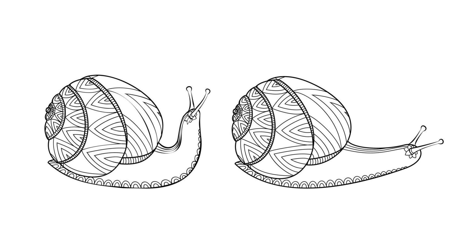Snails black and white colors. Invertebrates mollusks wildlife. Wild life Doodle handdrawn illuatration.. vector
