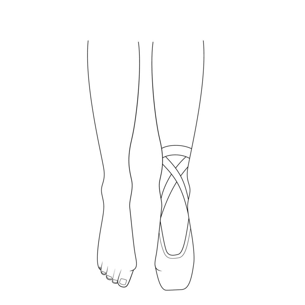 Professional ballerinas bunion illness. The dancers legs are barefoot and in pointes. Outline illustration. vector