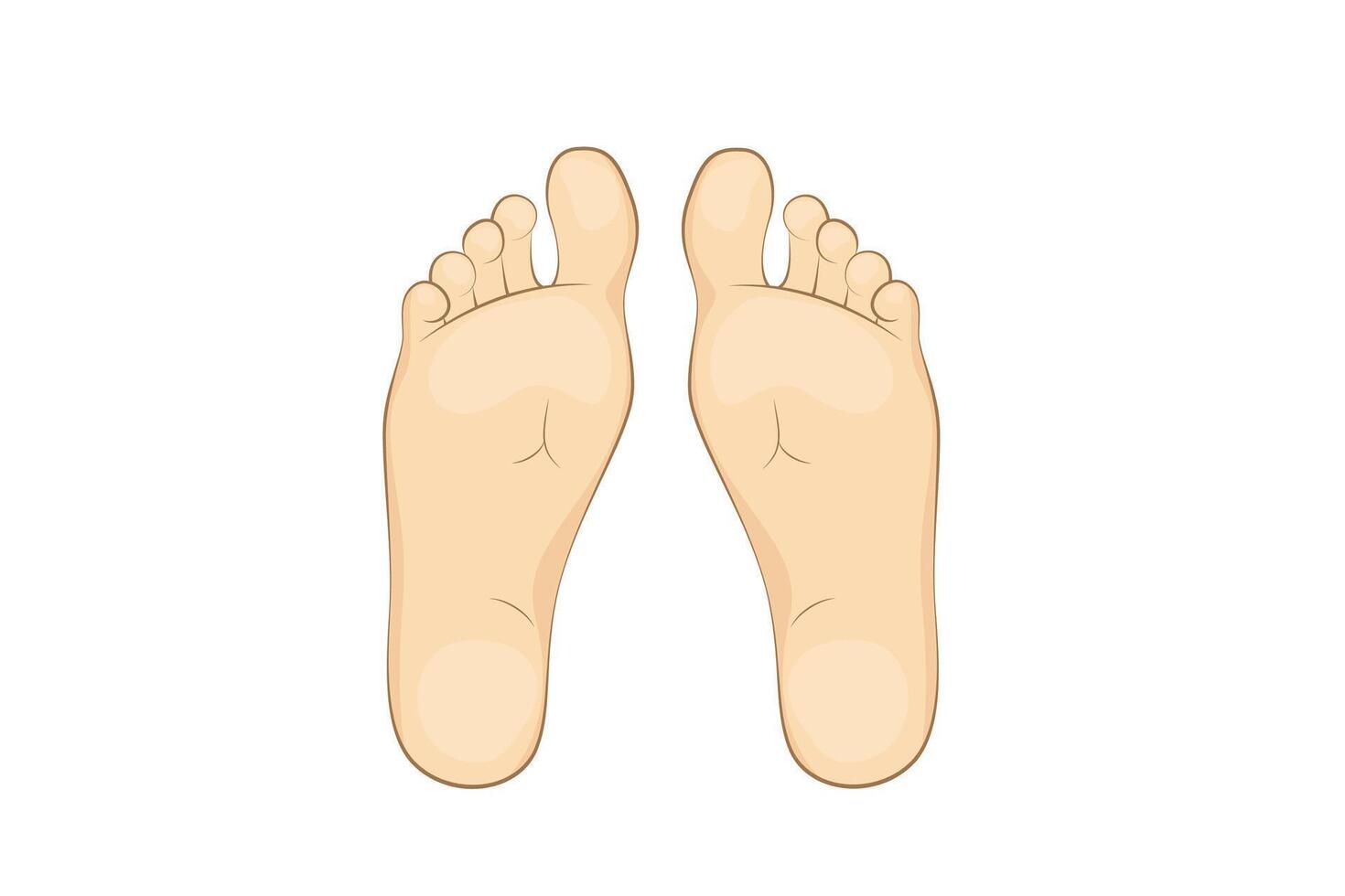 Mans soles. feet, sole, body part. vector