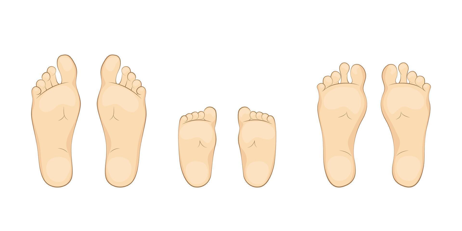 Baby,mother and father soles. feet, sole, body part. vector