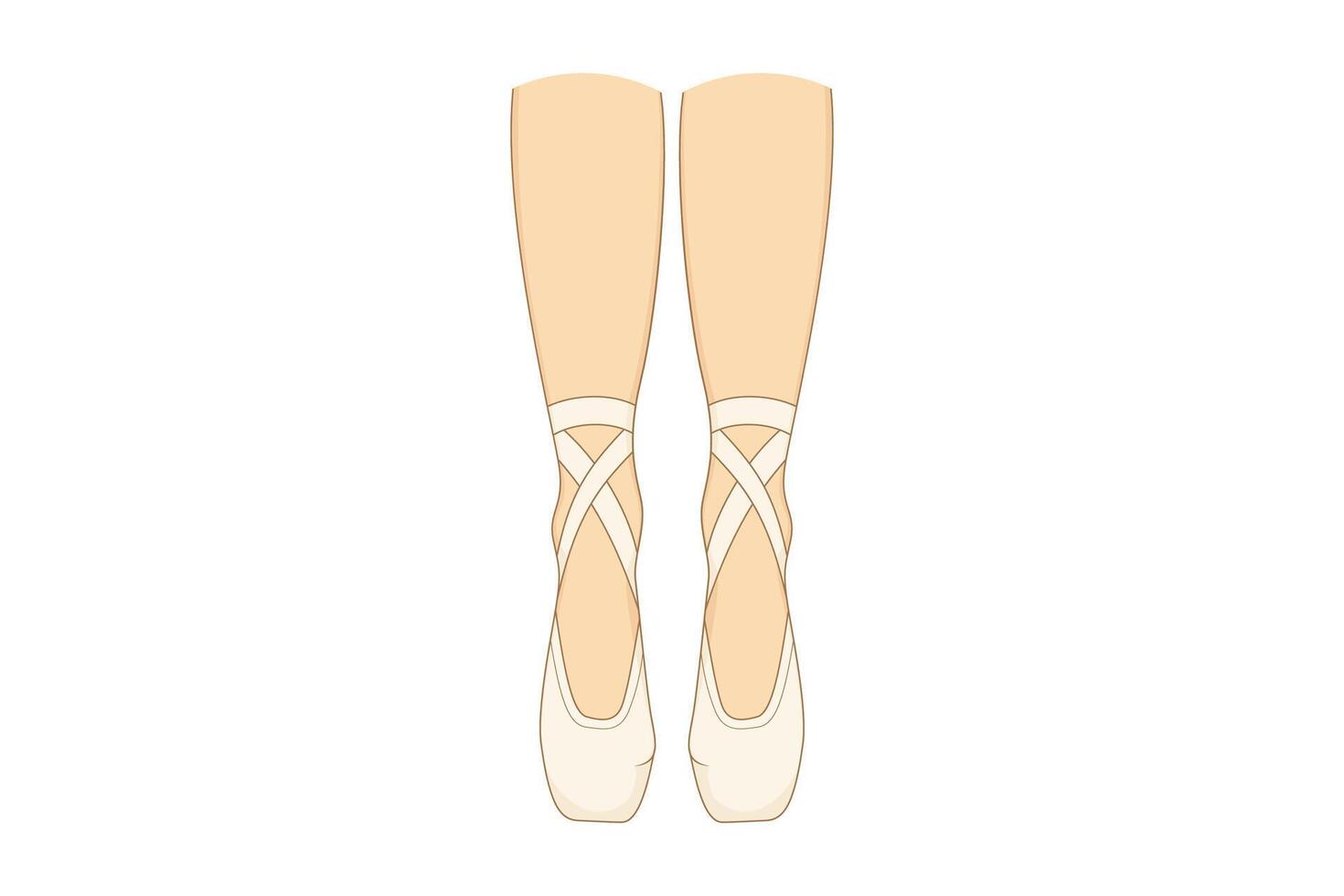The legs of a ballerina in pointes. The dancers shoes. vector