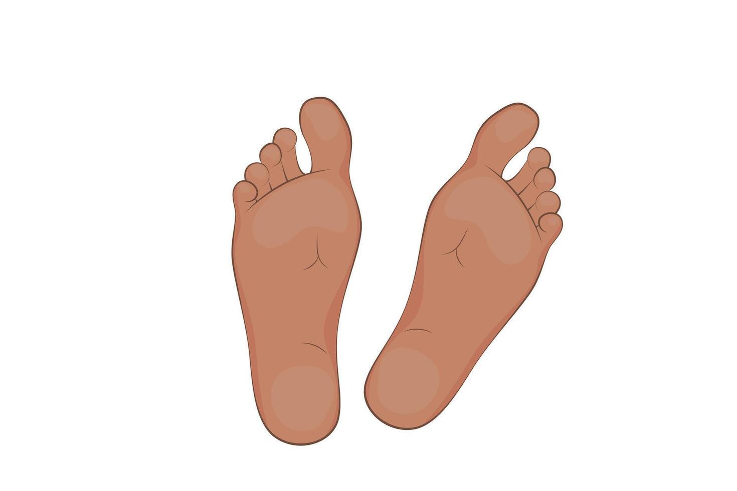 Mans feet. Legs, sole, body part. vector