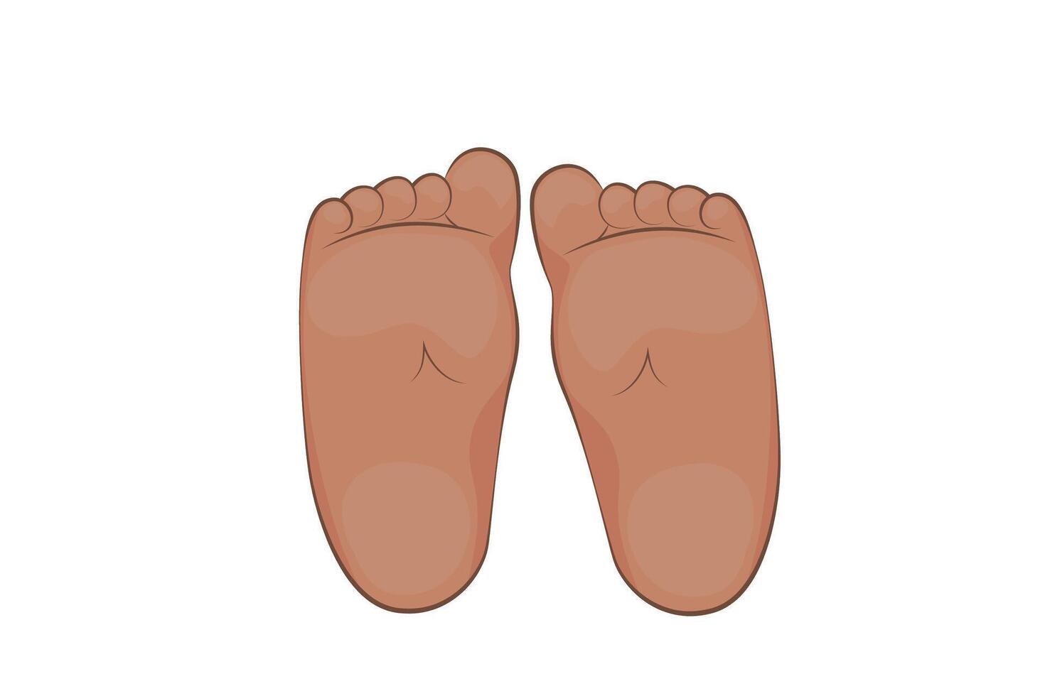 illustration of a baby soles. feet, sole, body part. vector