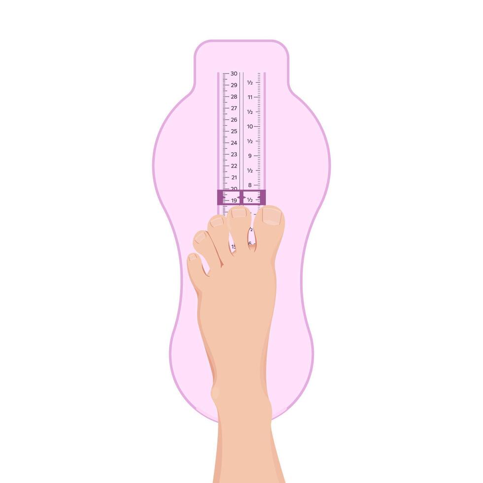 Foot Measurer ruler for kids and adults. Footwear size. Shoes length measurement vector