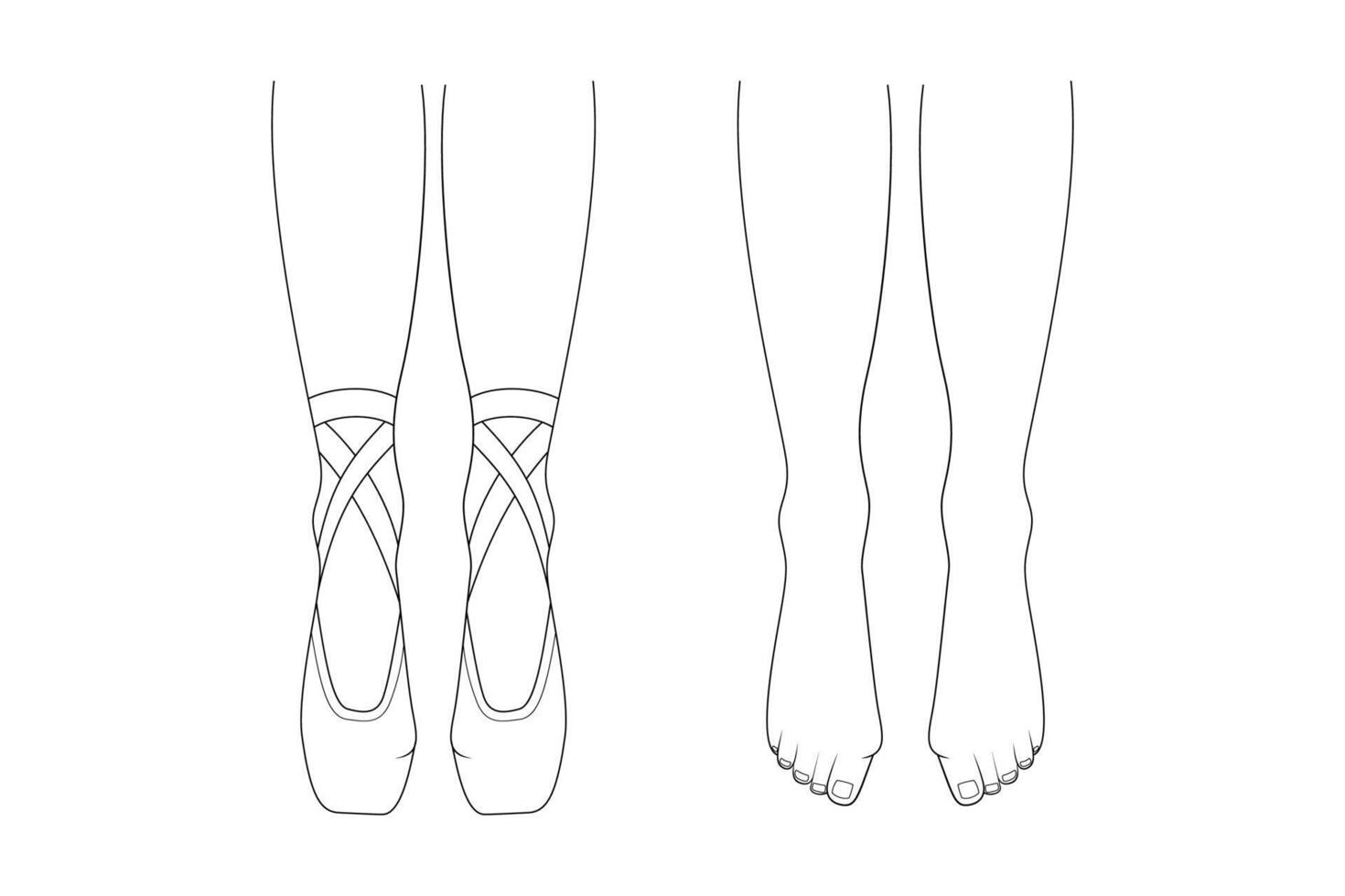 Professional ballerinas bunion illness. The dancers legs are barefoot and in pointes. Outline illustration. vector