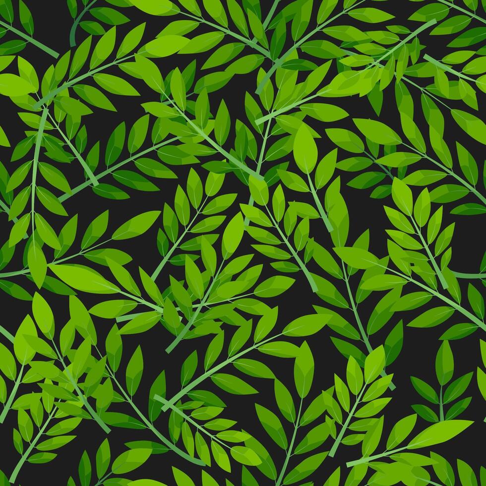 Green seamless pattern leaves on black background. Jacaranda and tropical plants design. vector