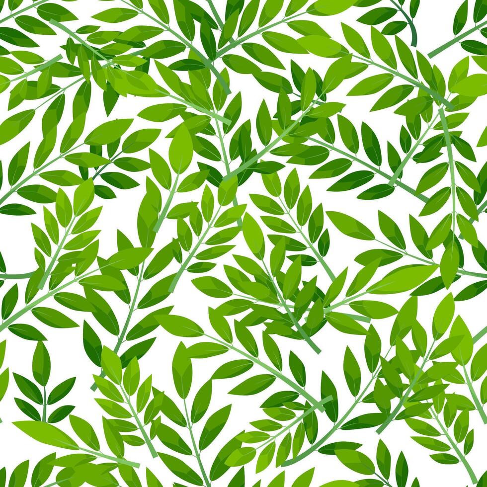 Green seamless pattern leaves on white background. Jacaranda and tropical plants design. vector