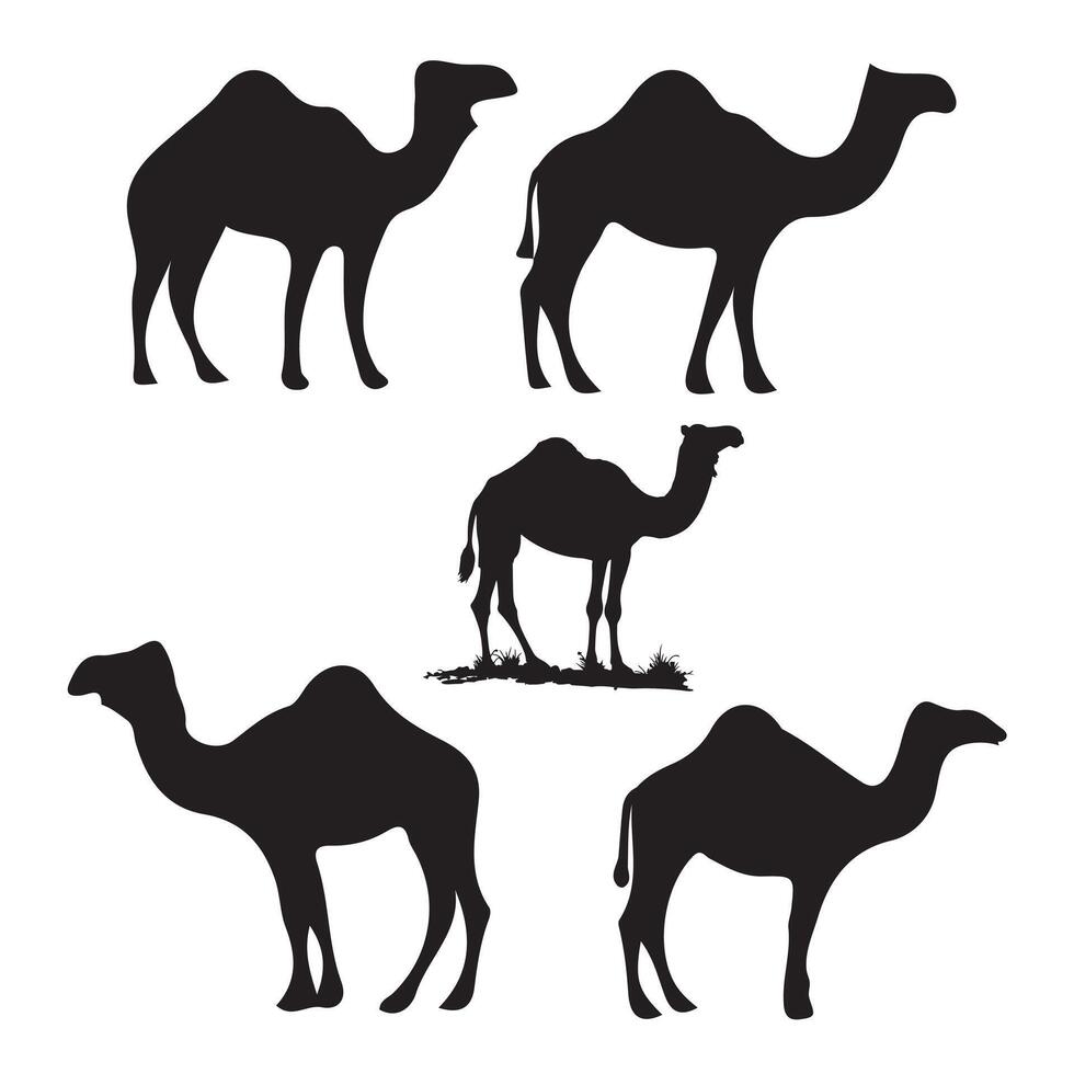 Set of black camels silhouettes on white background illustration vector