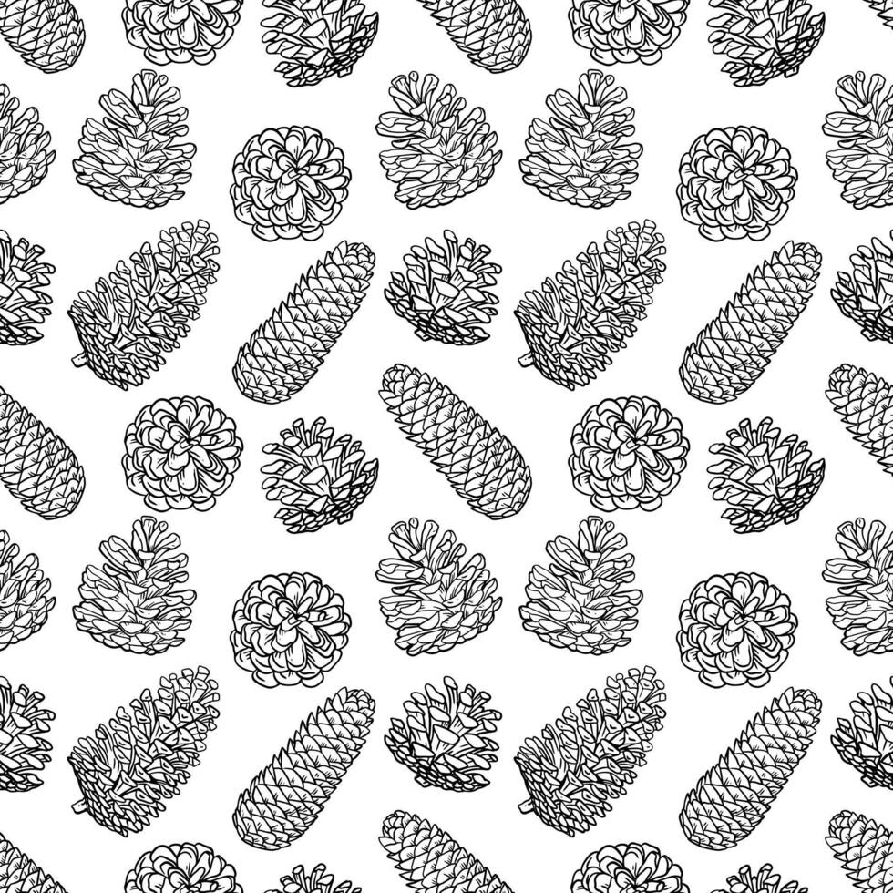 Line art conifer cones pattern. Black and white graphic outline illustration, wrap paper vector